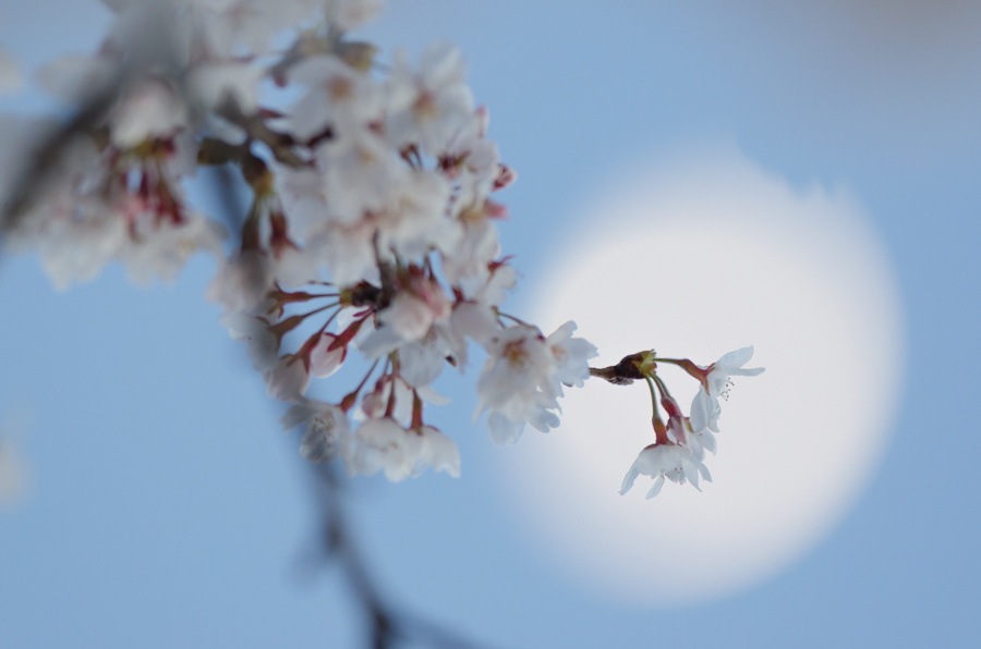 140406_01.jpg