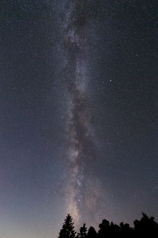 140726_05.jpg