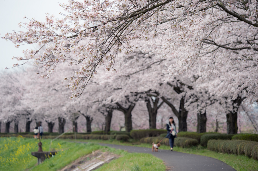 150403_01.jpg
