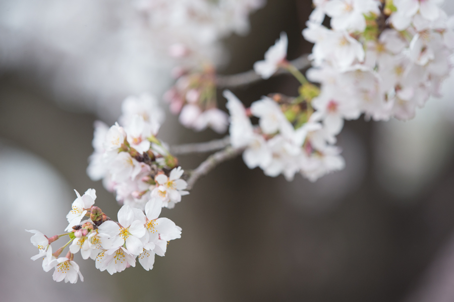 150403_05.jpg
