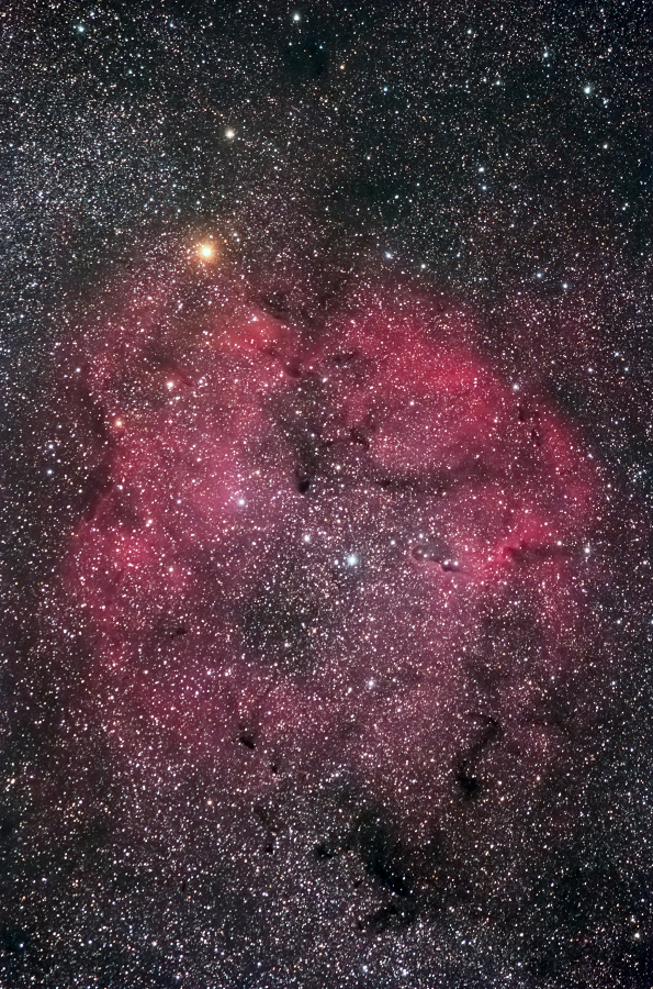 IC1394_140726_02.jpg