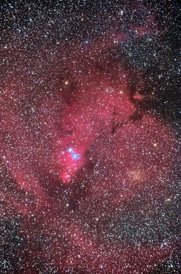 cone_141129_01-3.jpg