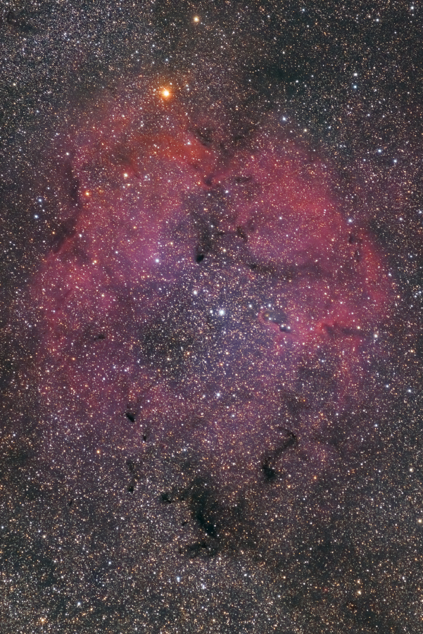 ic1396_151014_01.jpg