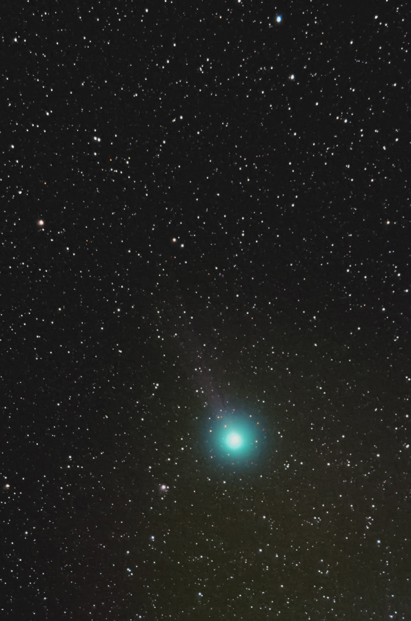 lovejoy_141224_01-2.jpg