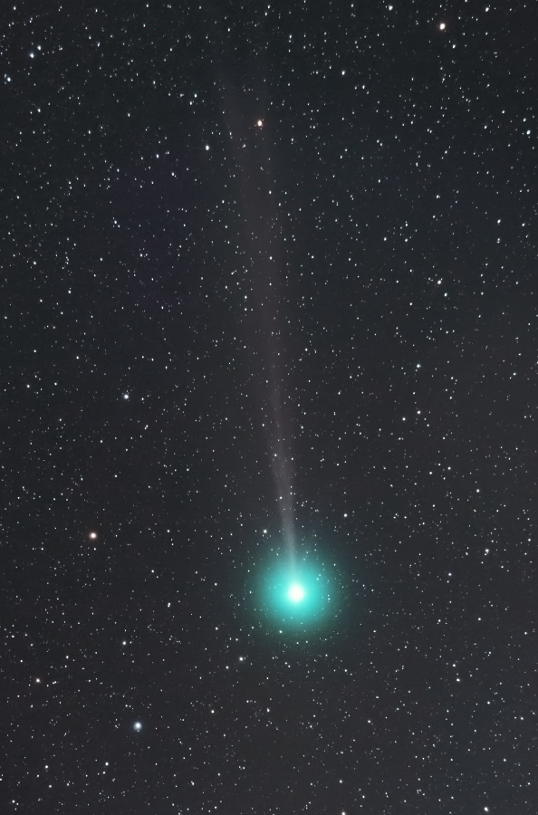 lovejoy_141227_D5100_01-2.jpg