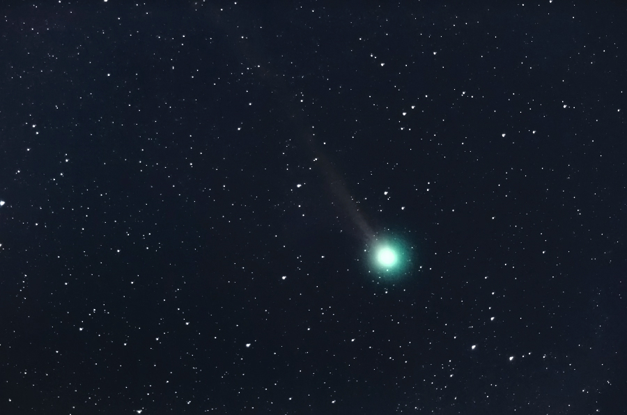 lovejoy_150106_01-7.jpg