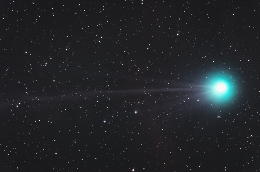 lovejoy_150110_01-3.jpg
