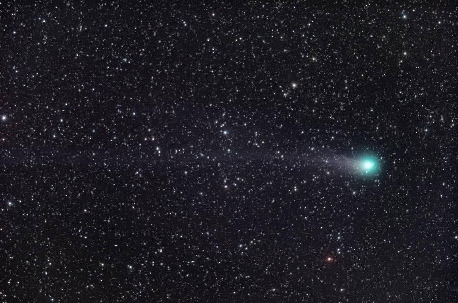 lovejoy_150210_02-7-3.jpg